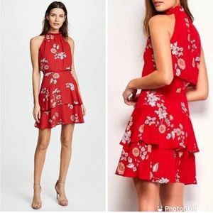 BB Dakota Cadence Dress